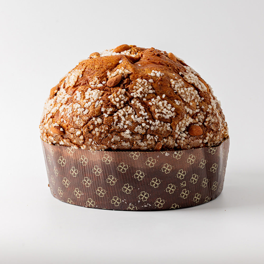 Panettone