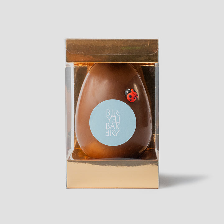 Small Filled Milk Chocolate Egg