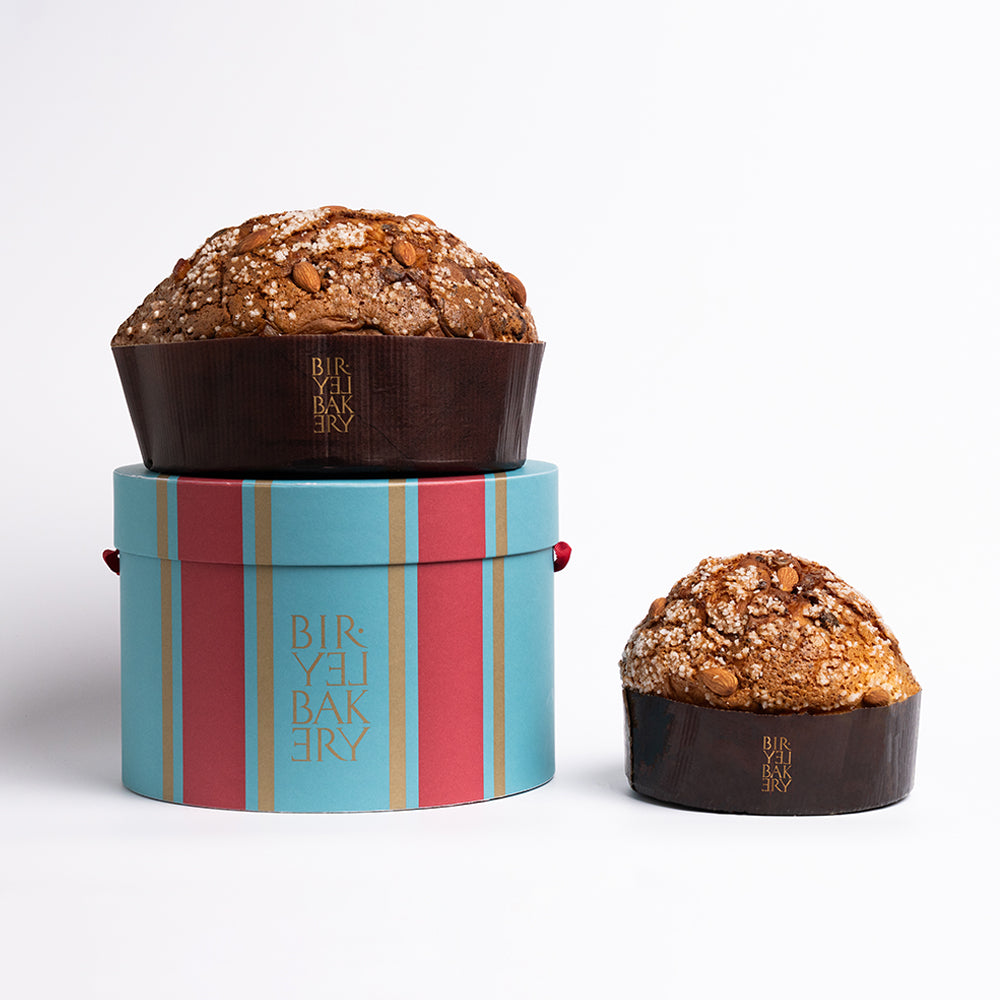 Classic Panettone (500gr)