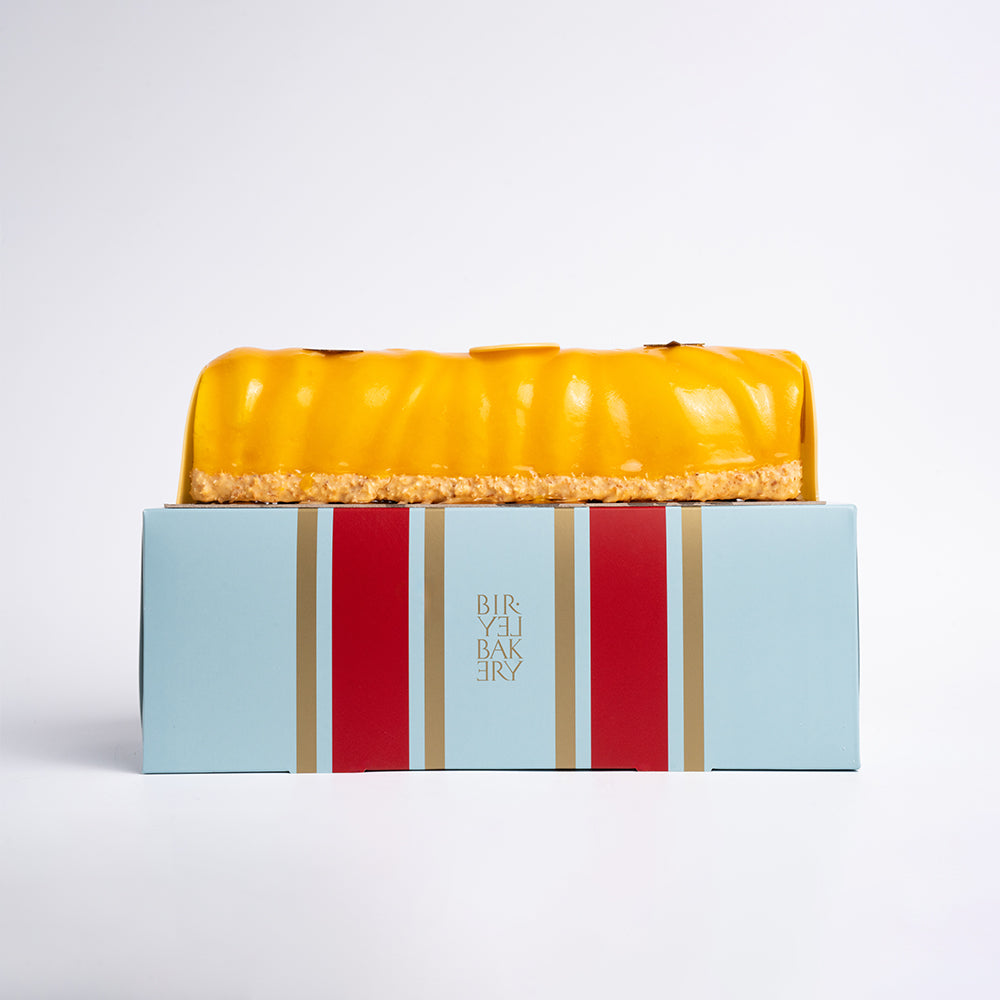 Tropical Yule Log for 10