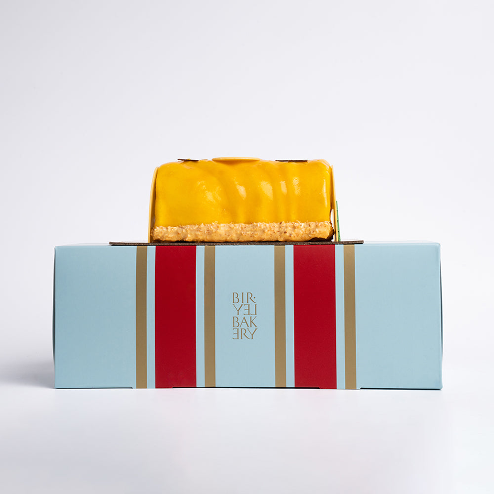 Tropical Yule Log for 6