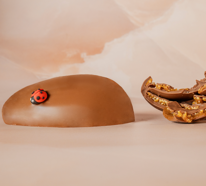 Large Filled Milk Chocolate Egg