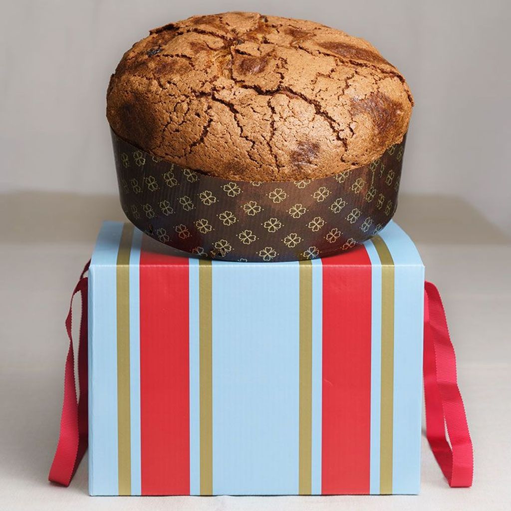 Triple Chocolate Panettone